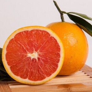 求购宜昌秭归脐橙 新鲜水果产地橙子